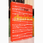 Fotografija knjige America : T.C. Boyle