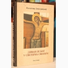 Fotografija knjige Divan je Bog u svetima svojim : Vladimir Dimitrijević