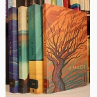 Fotografija knjige Godišnja doba (1-4) : Karl Uve Knausgor