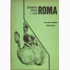 Fotografija knjige Zagonetke, mitovi i jezik Roma : Rajko Đurić